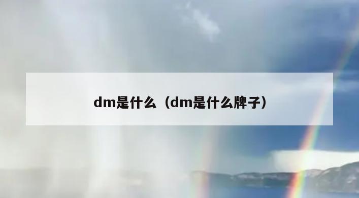 dm是什么（dm是什么牌子）