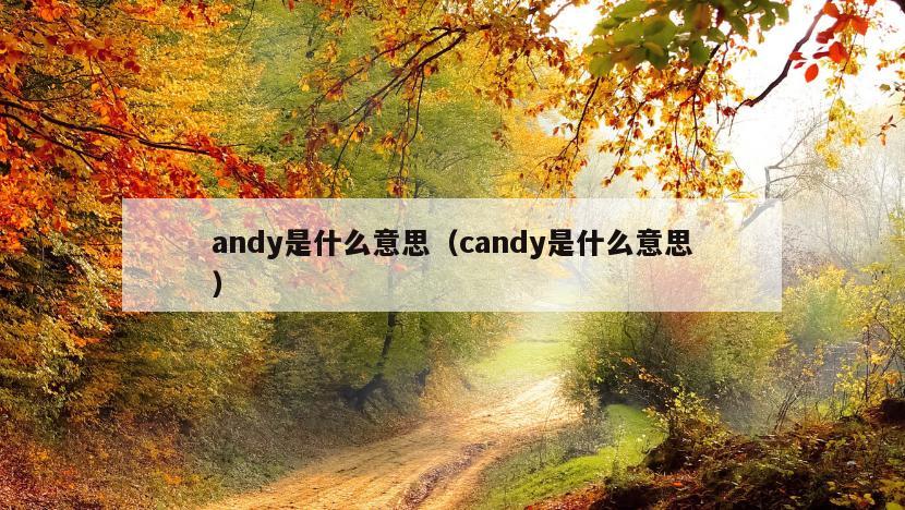 andy是什么意思（candy是什么意思）