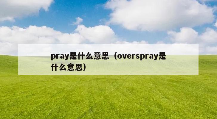 pray是什么意思（overspray是什么意思）